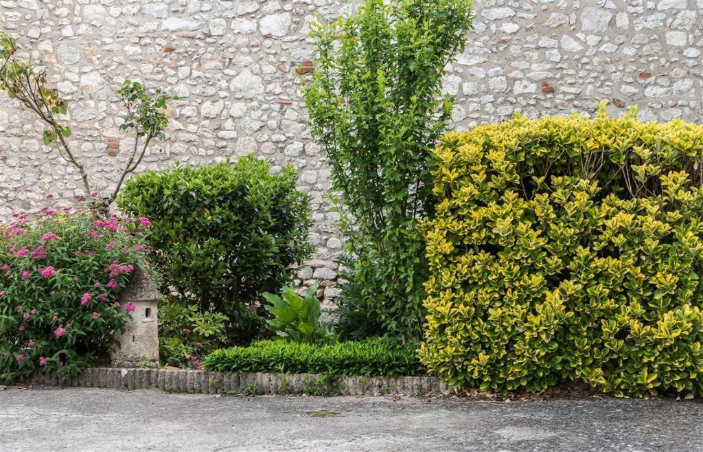Hotel Du Cygne De La Croix Blanche Lailly-en-Val Екстер'єр фото